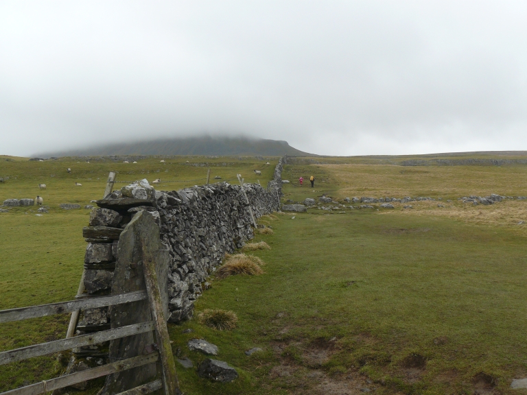 Horton-in-Ribblesdale - Pen-y-ghent - Plover Hill - Horton-in-Ribblesdale