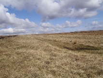 Ridge Nether Moor