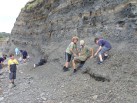 Fossil collecting