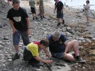 Fossil collecting