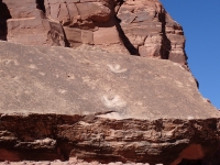 Potash Petroglyphs and Dinosaur Tracks