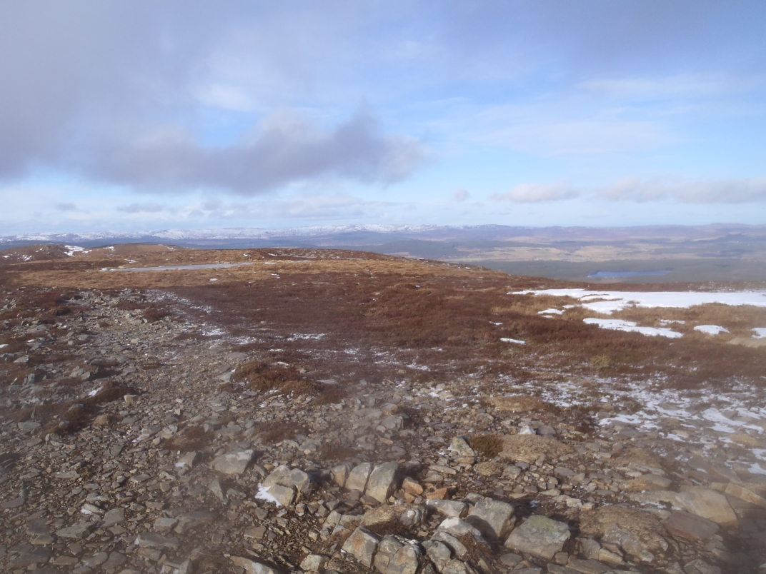 Day 1 - Glenmore - Meall a' Bhuacaille - Creaan Gorm - Strath Nethy