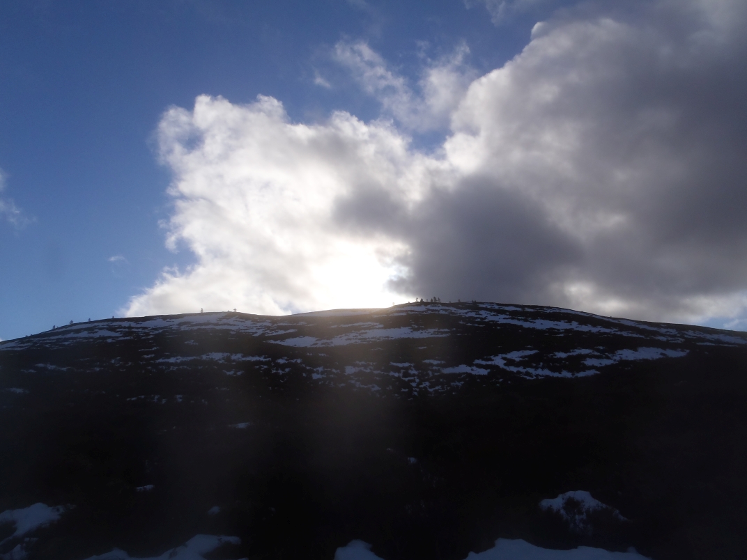 Day 1 - Glenmore - Meall a' Bhuacaille - Creaan Gorm - Strath Nethy
