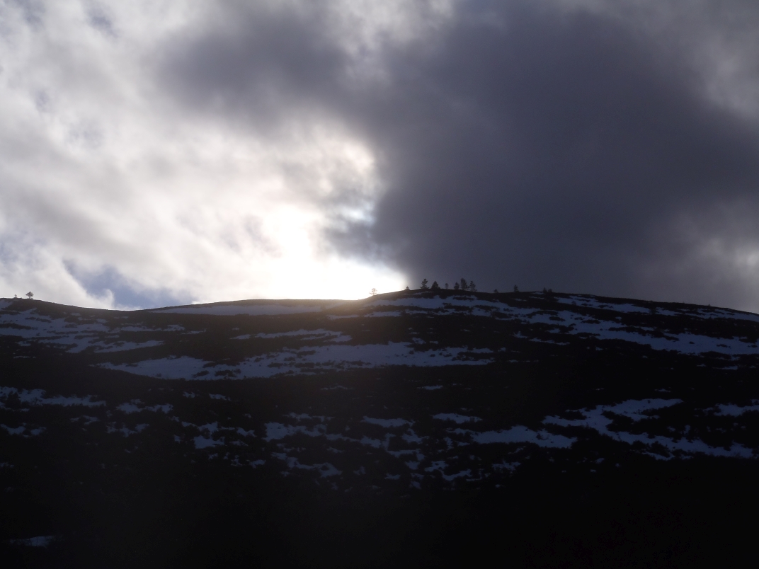 Day 1 - Glenmore - Meall a' Bhuacaille - Creaan Gorm - Strath Nethy