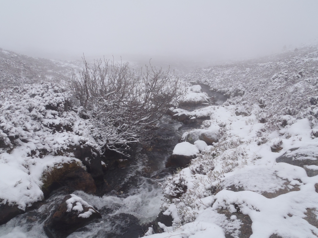 Day 1 - Cairngorm Ski Base Station - Ben Macdui - Hutchinson Bothy