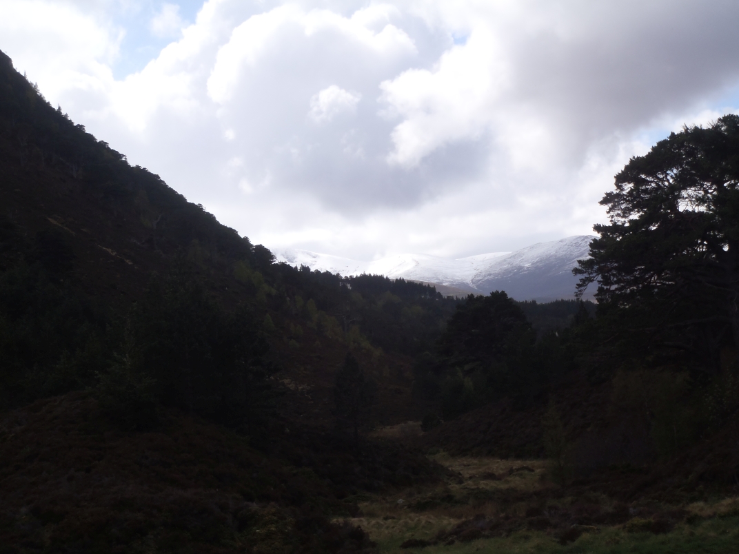 Day 3 - Ryvoan Bothy - Glenmore