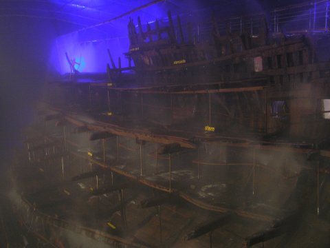 The Mary Rose