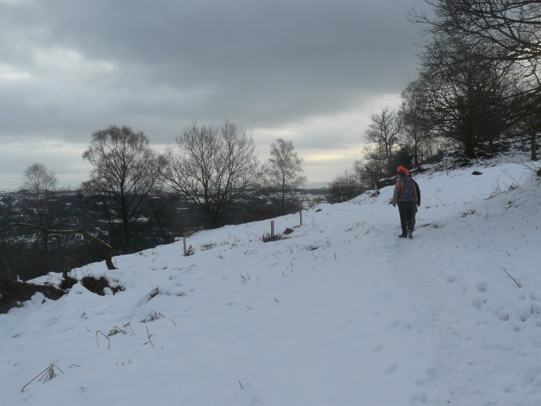 Station Scar Wood - Belle Grange - Low pate Cragg - Station Scar Wood