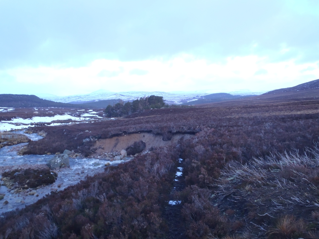 Gelder Shiel - Glas Allt Shiel