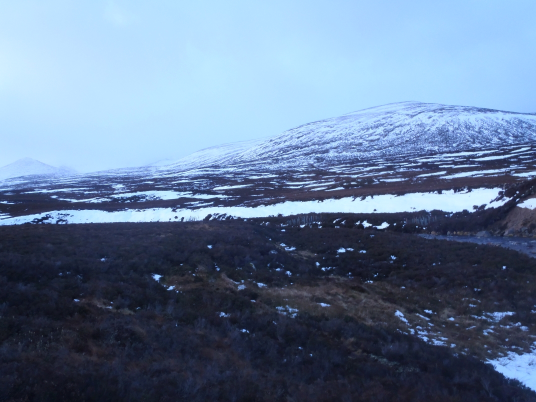 Gelder Shiel - Glas Allt Shiel