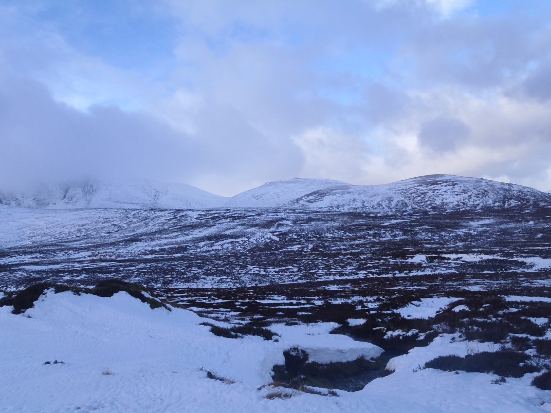 Gelder Shiel - Glas Allt Shiel