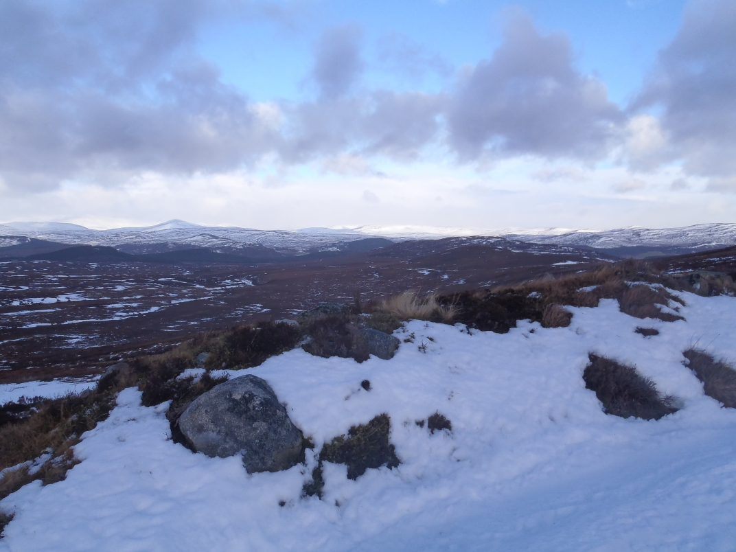 Gelder Shiel - Glas Allt Shiel