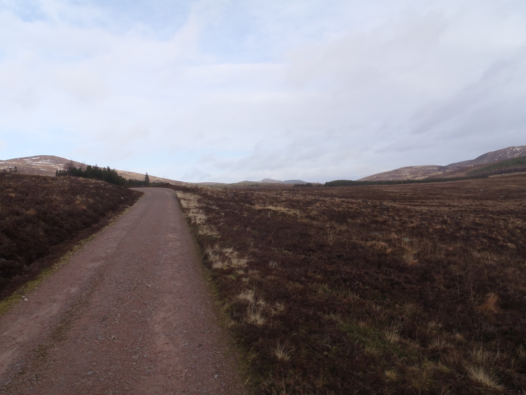 Gelder Shiel - Glas Allt Shiel