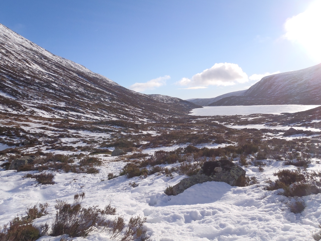 Glas Allt Shiel - Dubh Loch - Broad Cairn - Glas Allt Shiel