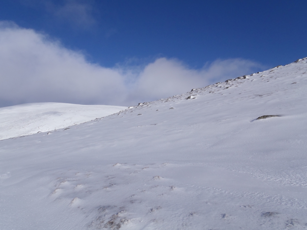 Glas Allt Shiel - Dubh Loch - Broad Cairn - Glas Allt Shiel