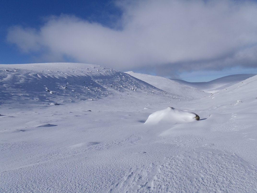 Glas Allt Shiel - Dubh Loch - Broad Cairn - Glas Allt Shiel