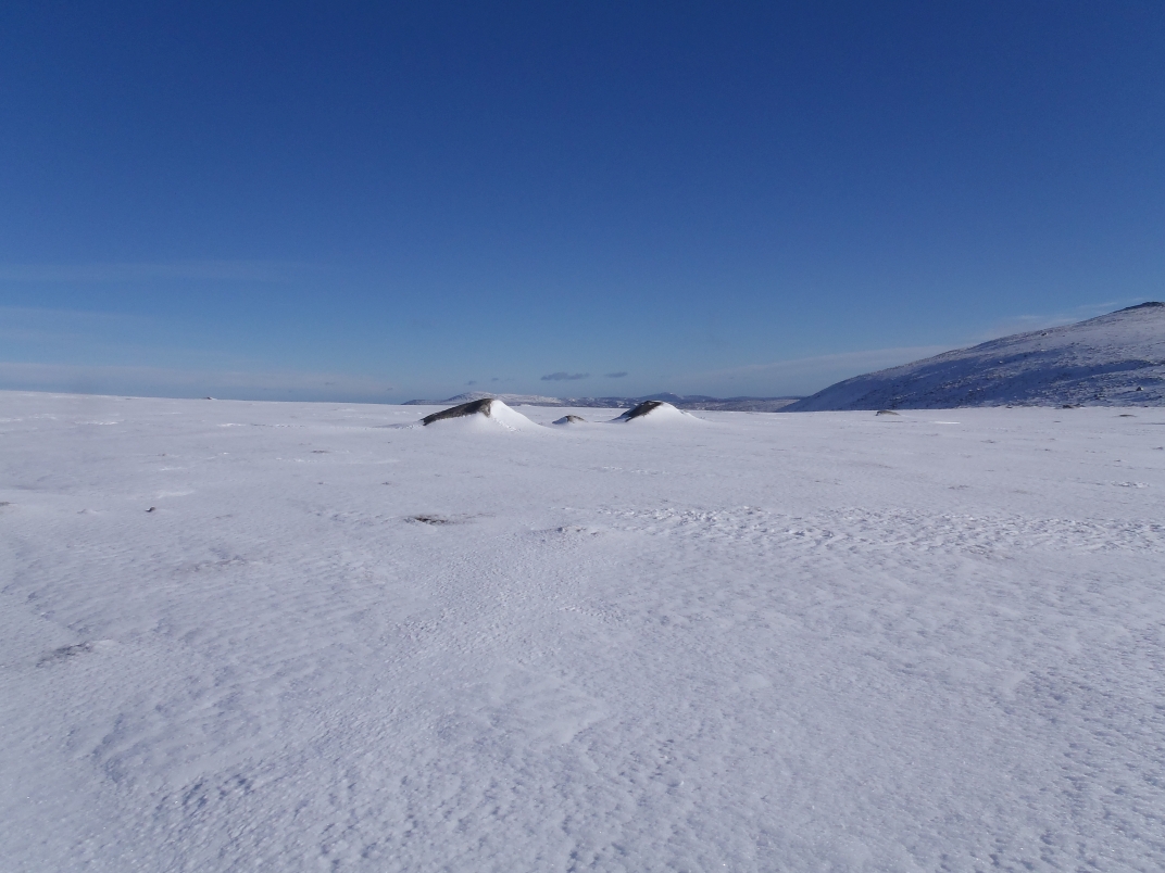 Glas Allt Shiel - Dubh Loch - Broad Cairn - Glas Allt Shiel