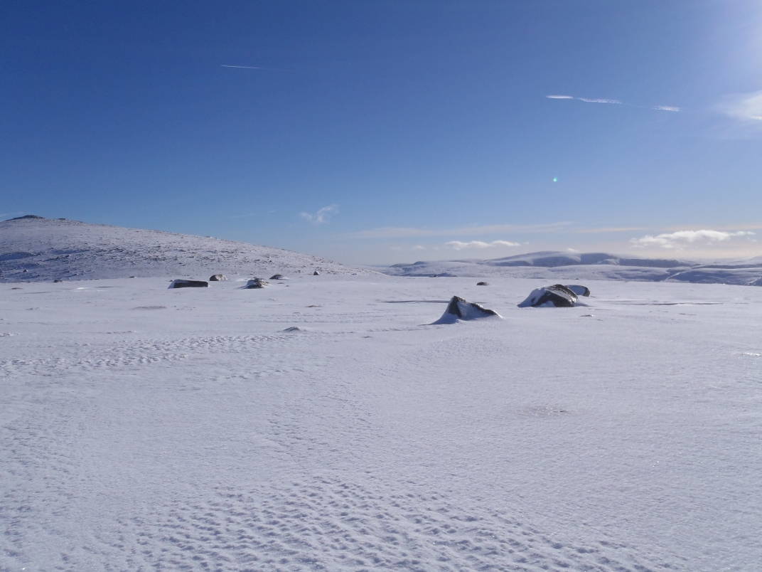 Glas Allt Shiel - Dubh Loch - Broad Cairn - Glas Allt Shiel