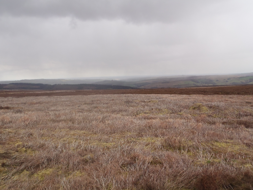 Derwent Moors