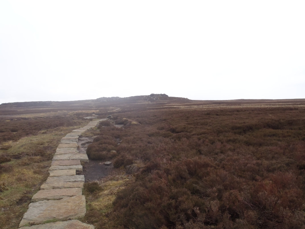 Derwent Moors