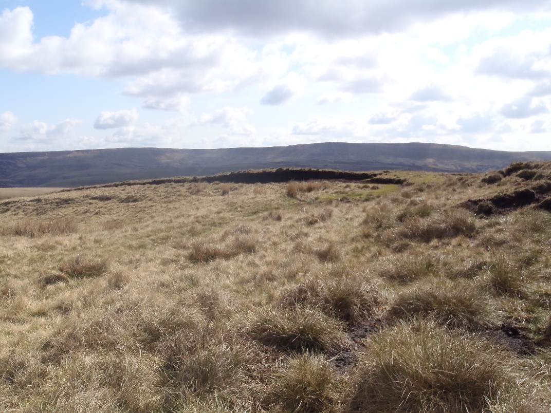 Ridge Nether Moor