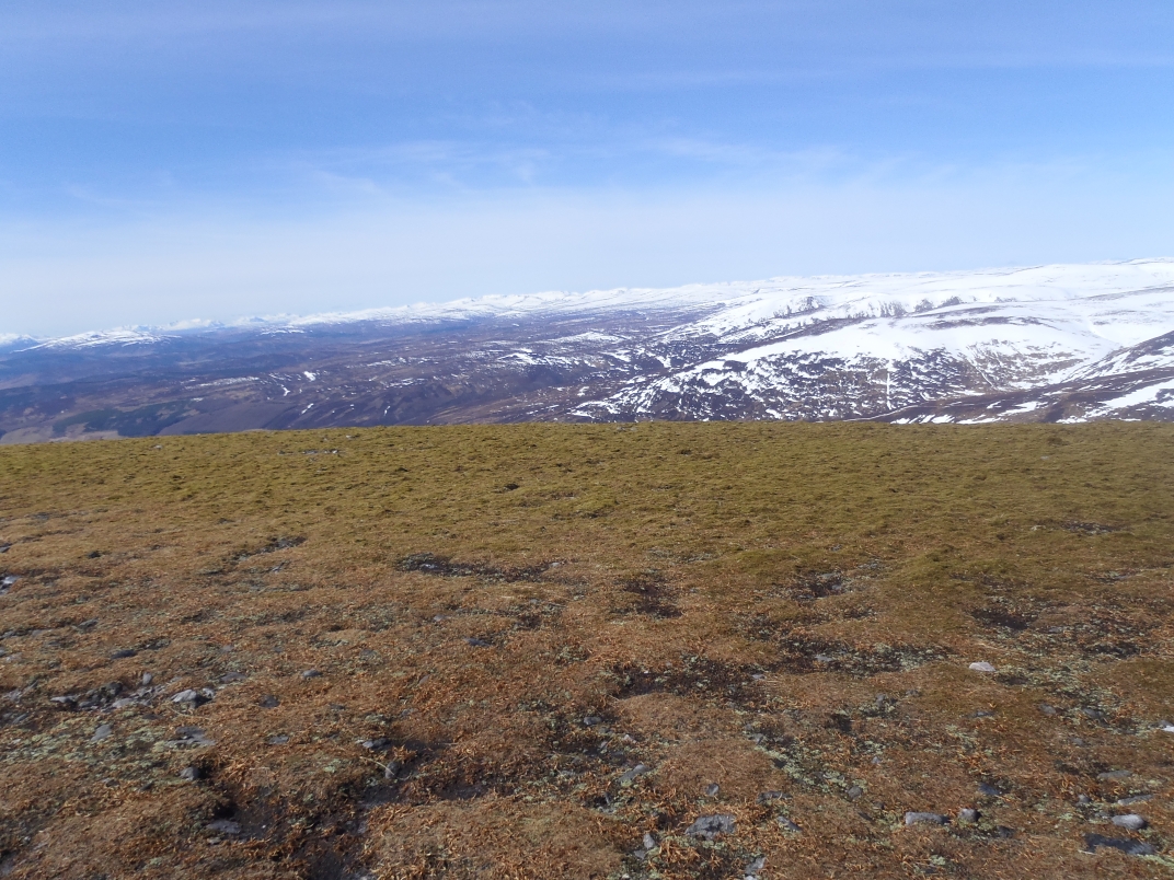 Day 3 - Braigh Coire Chruinn-bhalgain & Carn Liath