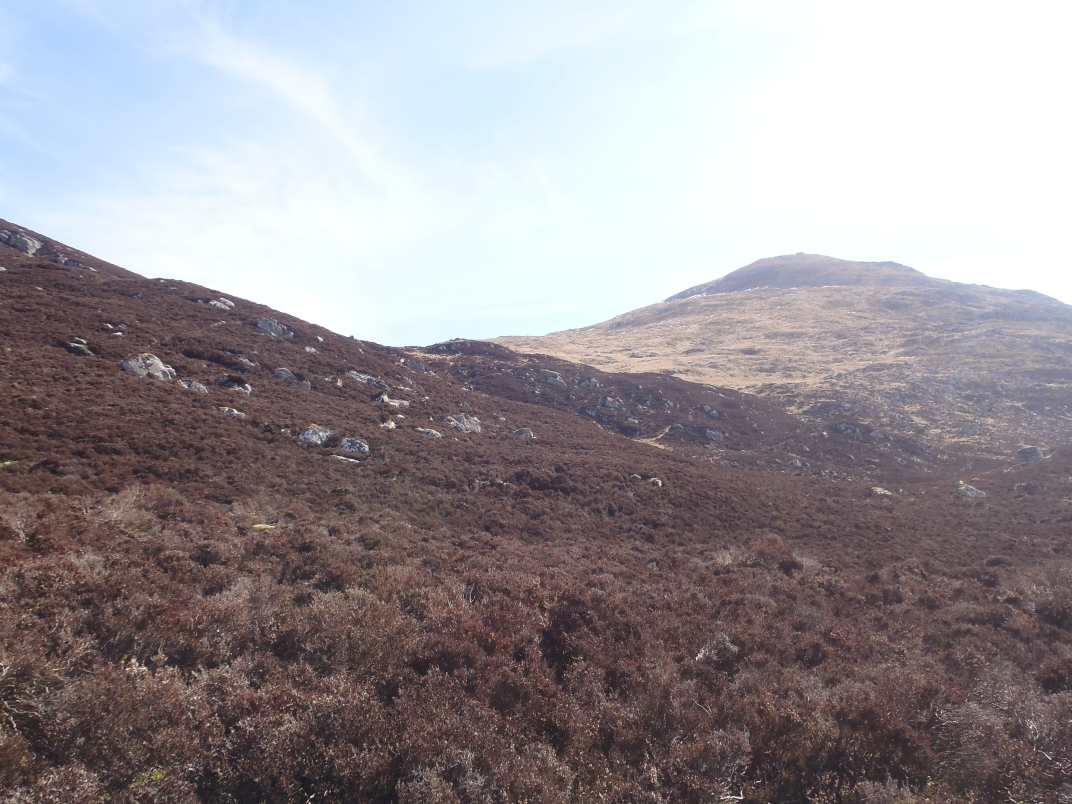 Day 4 - Ben Vrackie