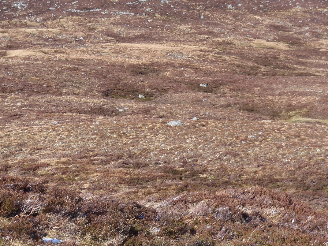 Day 2 - Carn Dearg + Diollaid a' Chairn