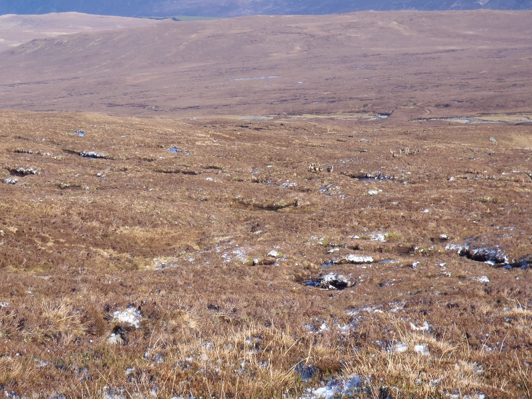 Day 2 - Carn Dearg + Diollaid a' Chairn