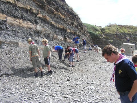 Fossil collecting