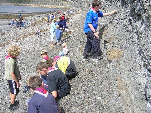 Fossil collecting