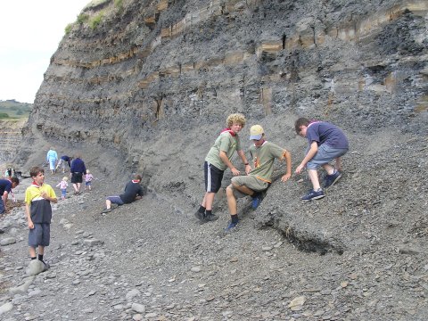 Fossil collecting