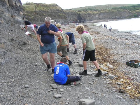 Fossil collecting