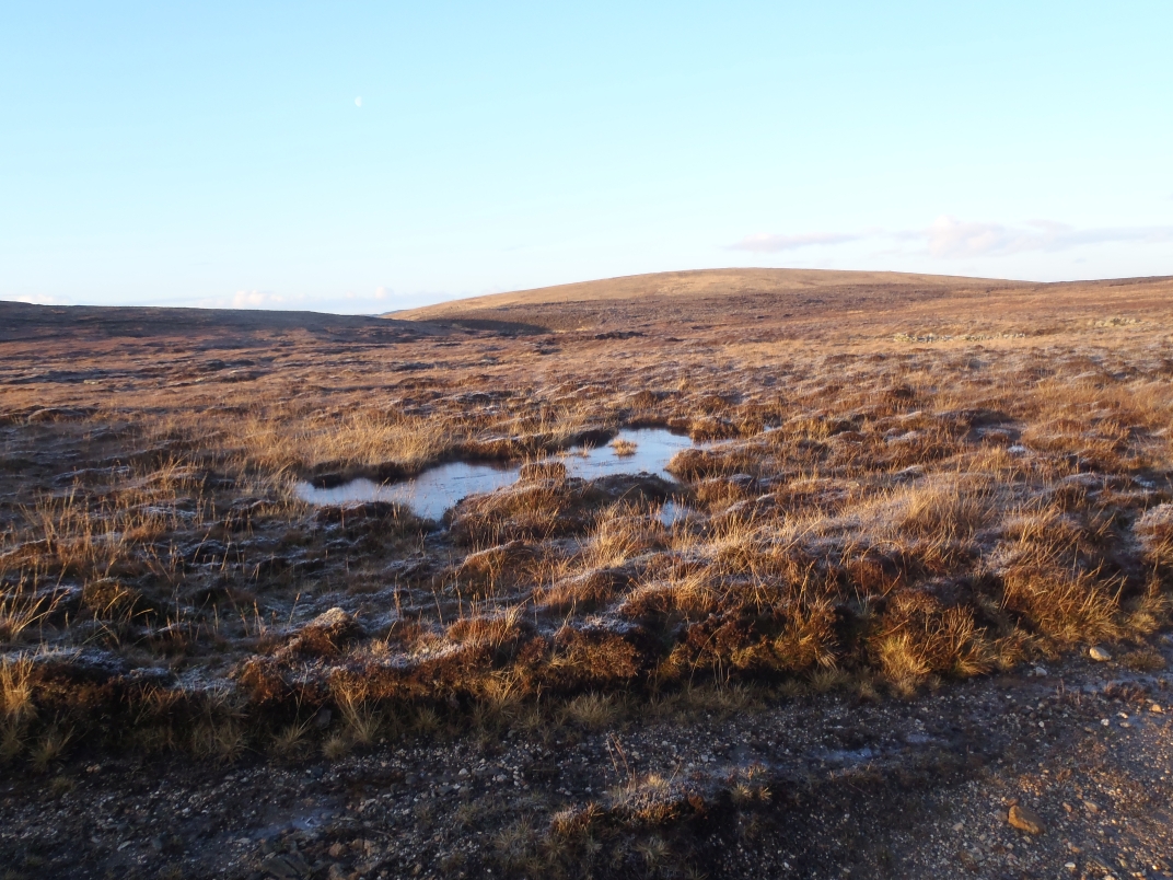 Day 2 - Cro Water - Rulkies Hill - Loch of Vollister