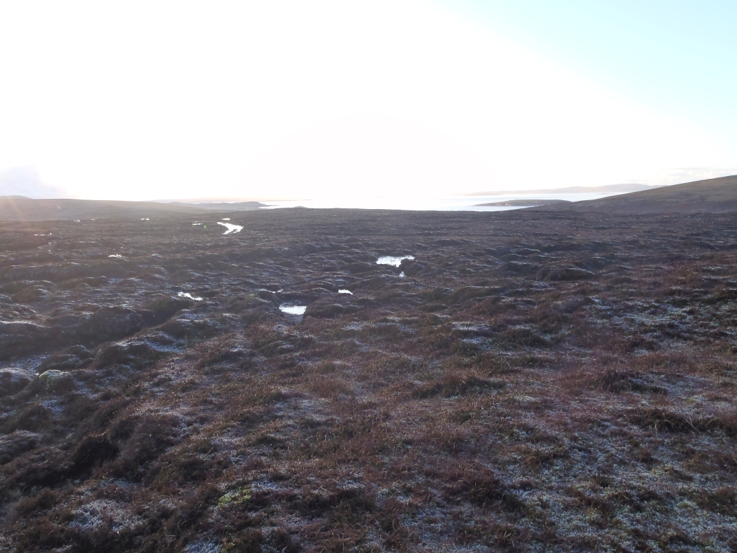 Day 2 - Cro Water - Rulkies Hill - Loch of Vollister