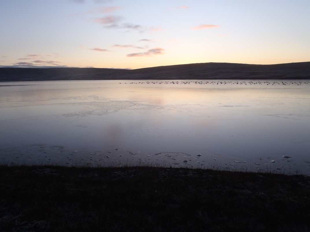 Day 2 - Cro Water - Rulkies Hill - Loch of Vollister