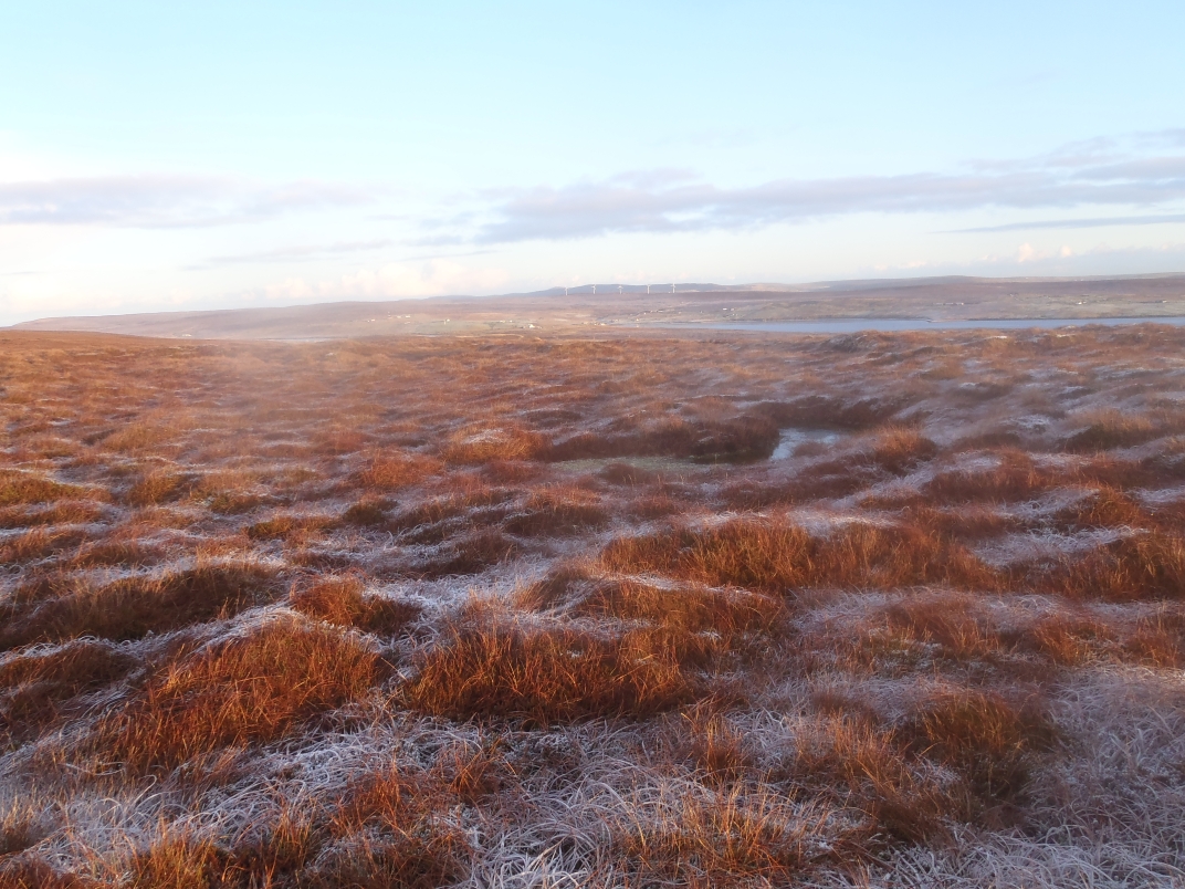 Day 3 - Loch of Vollister - Gutcher - ferry to Belmont - Loch of Stourhoull