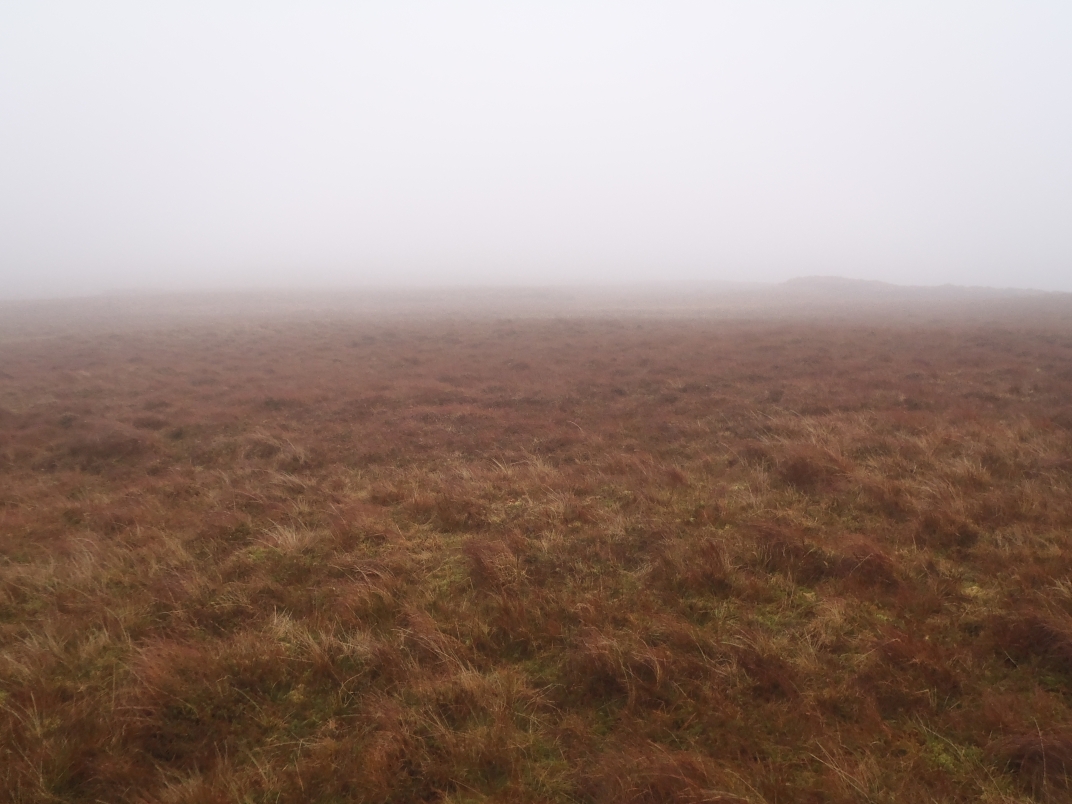 Day 5 - Quarff - Sheens of Breitoe - Muskna Field - Flanderstown