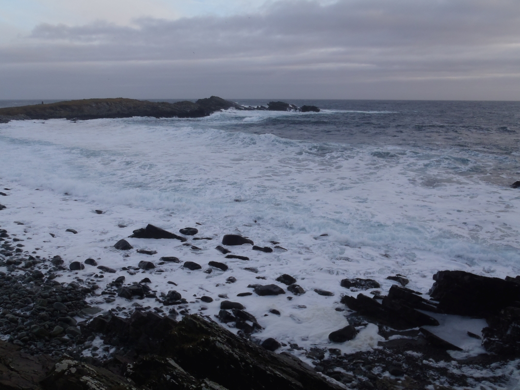 Day 6 - Sumburgh Head