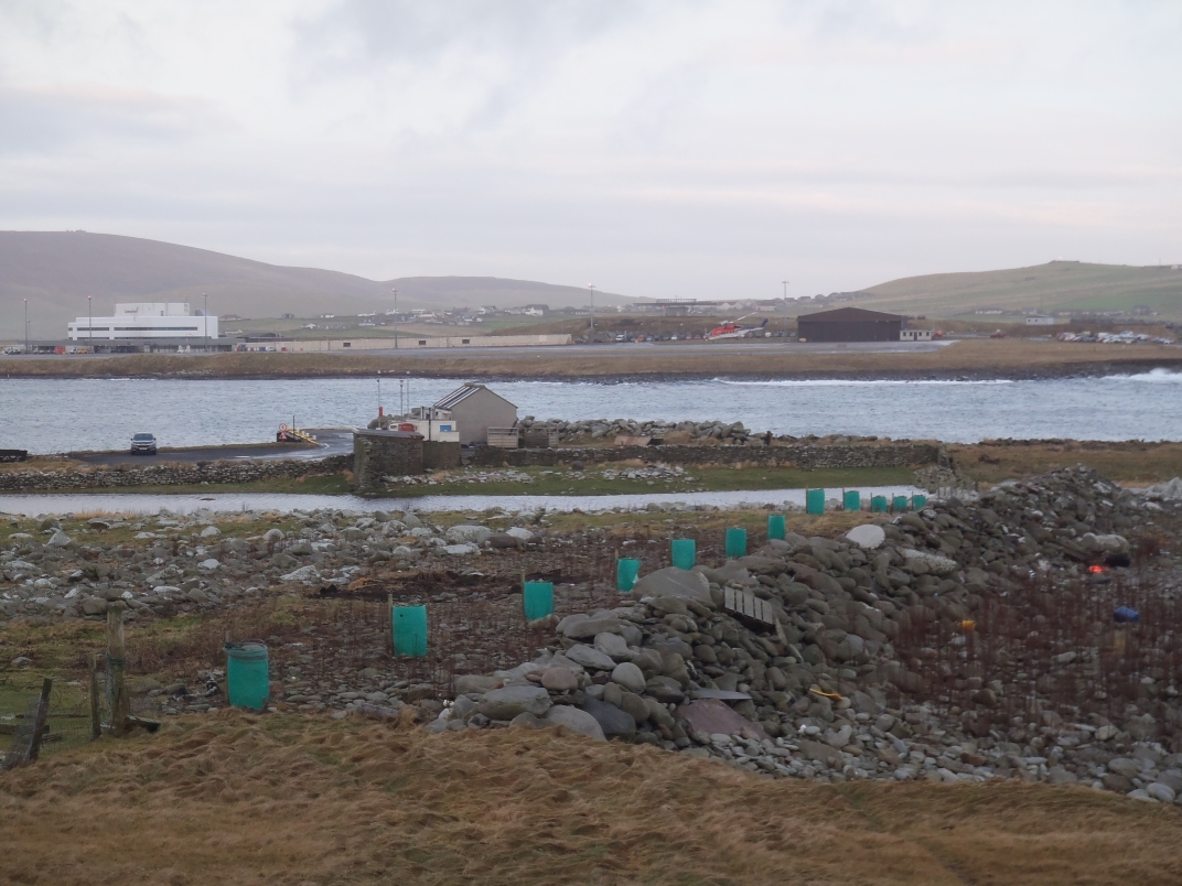 Day 6 - Sumburgh Head