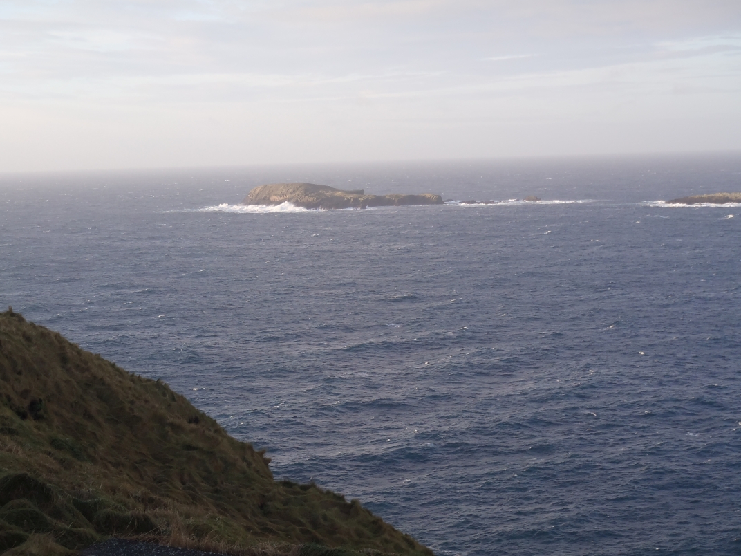 Day 6 - Sumburgh Head