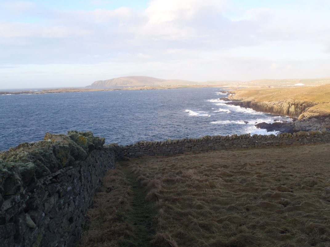Day 6 - Sumburgh Head