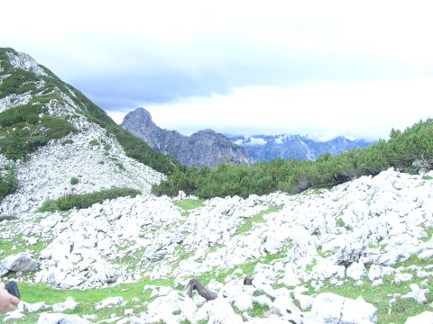 View from Debela Pec walk