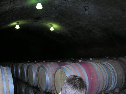 Vinoteka Brda