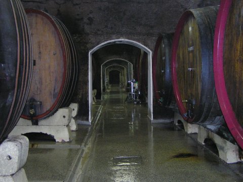 Vinoteka Brda