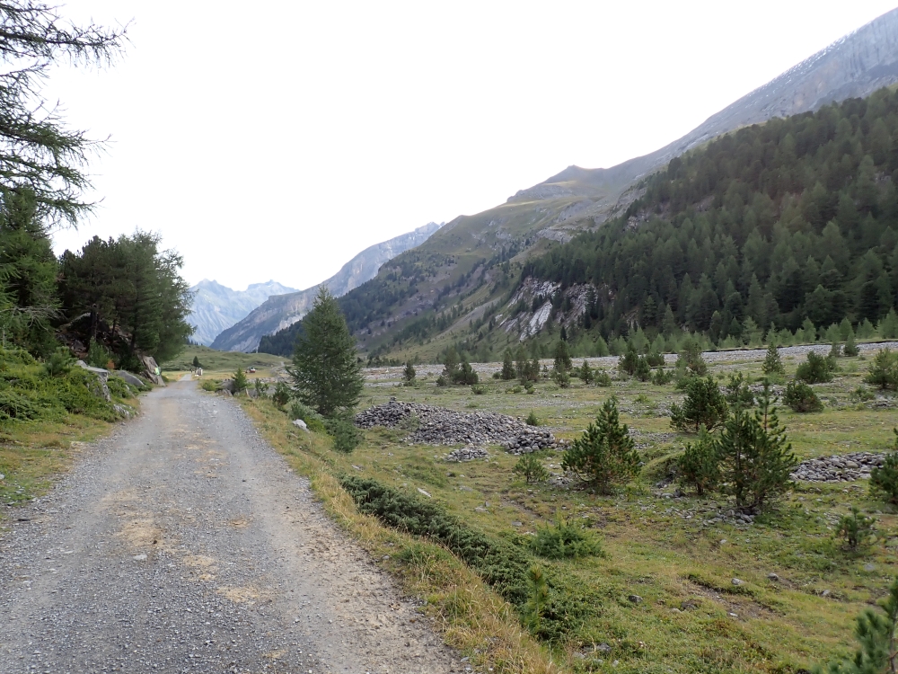 Day 2 - Sunnbuel - Schwarenbach - Tschingellochtighore - Engstligenalp