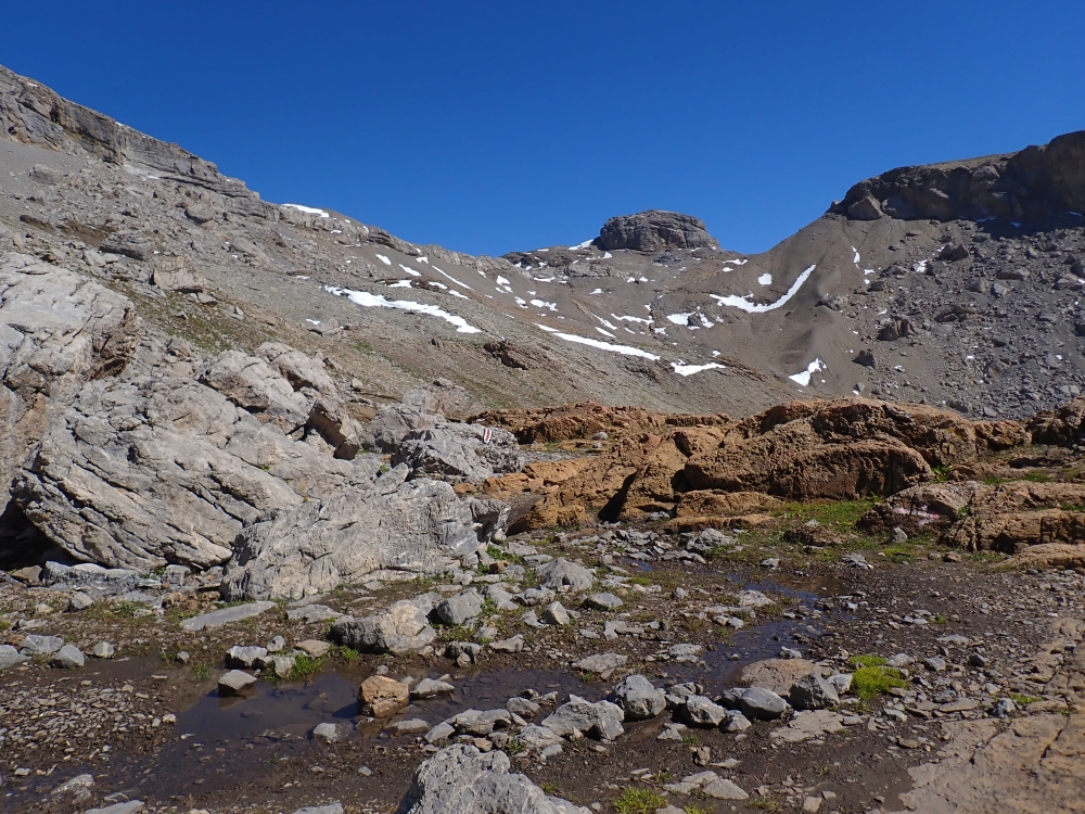 Day 5 - Cabane Des Violettes - Bella Lui - Wildstrubelhutte