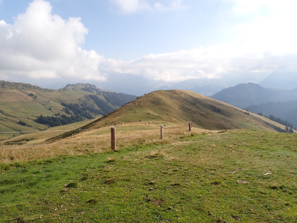 Day 7 - Wildhornhutte - Tungelpass = Stublenipass - Betelberg - Lenk