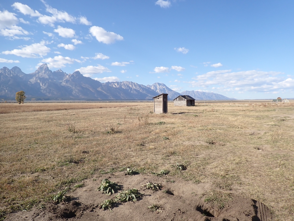 Mormon Row Houses, Grand Tetons