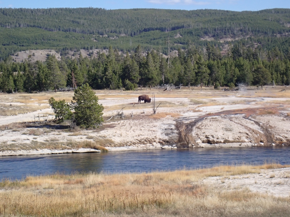 Yellowstone